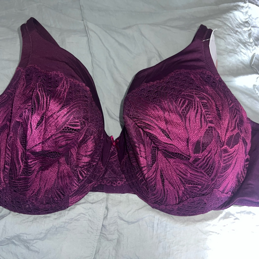 Cacique Deep Plum Lace Underwire Bra